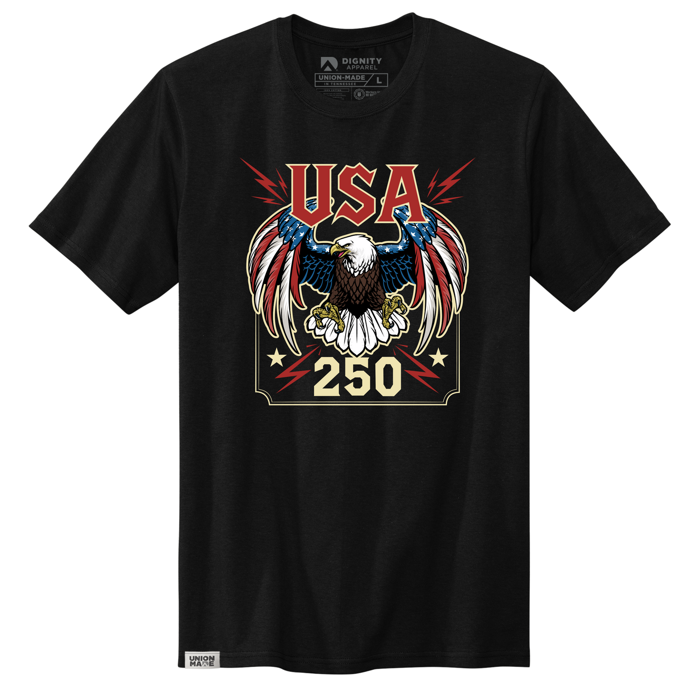 USA 250 Union Tour Tee