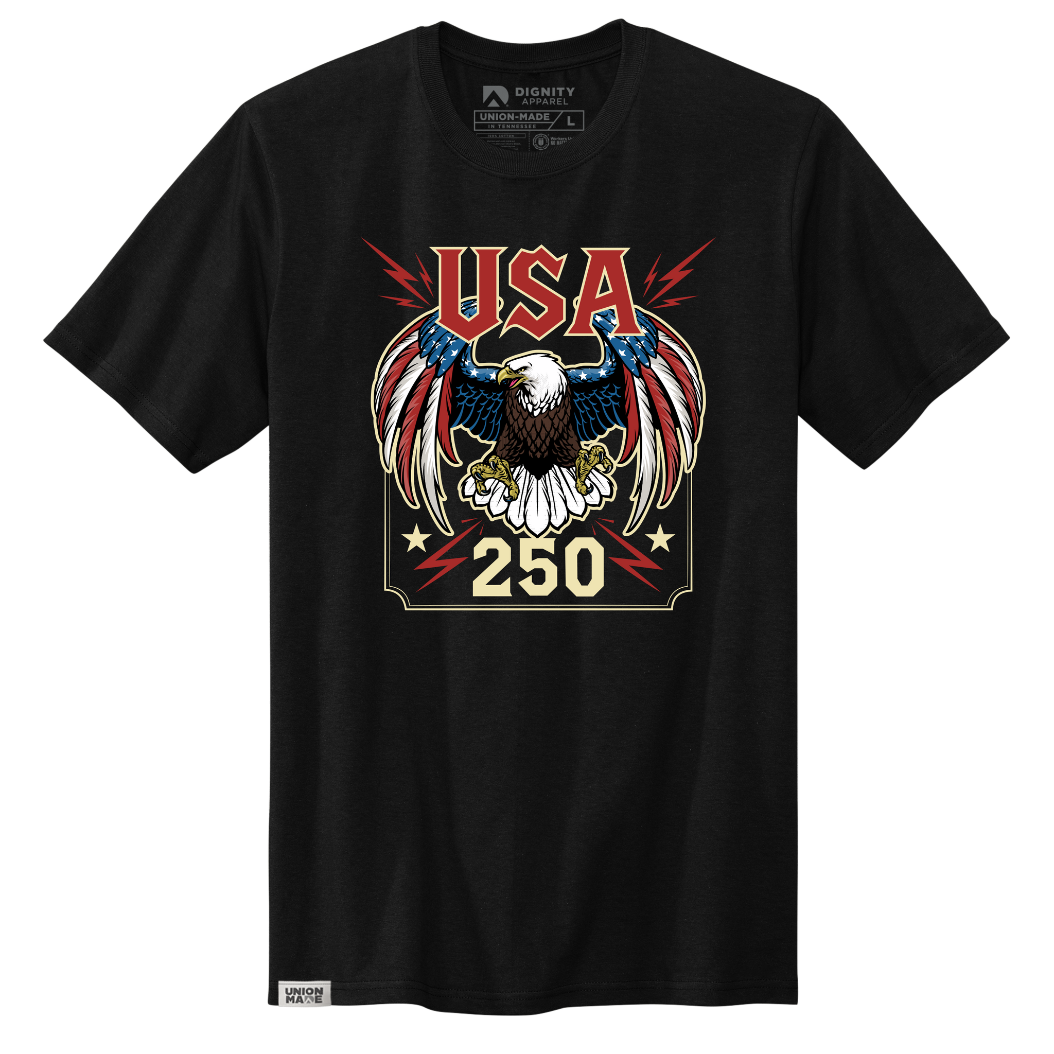 USA 250 Union Tour Tee