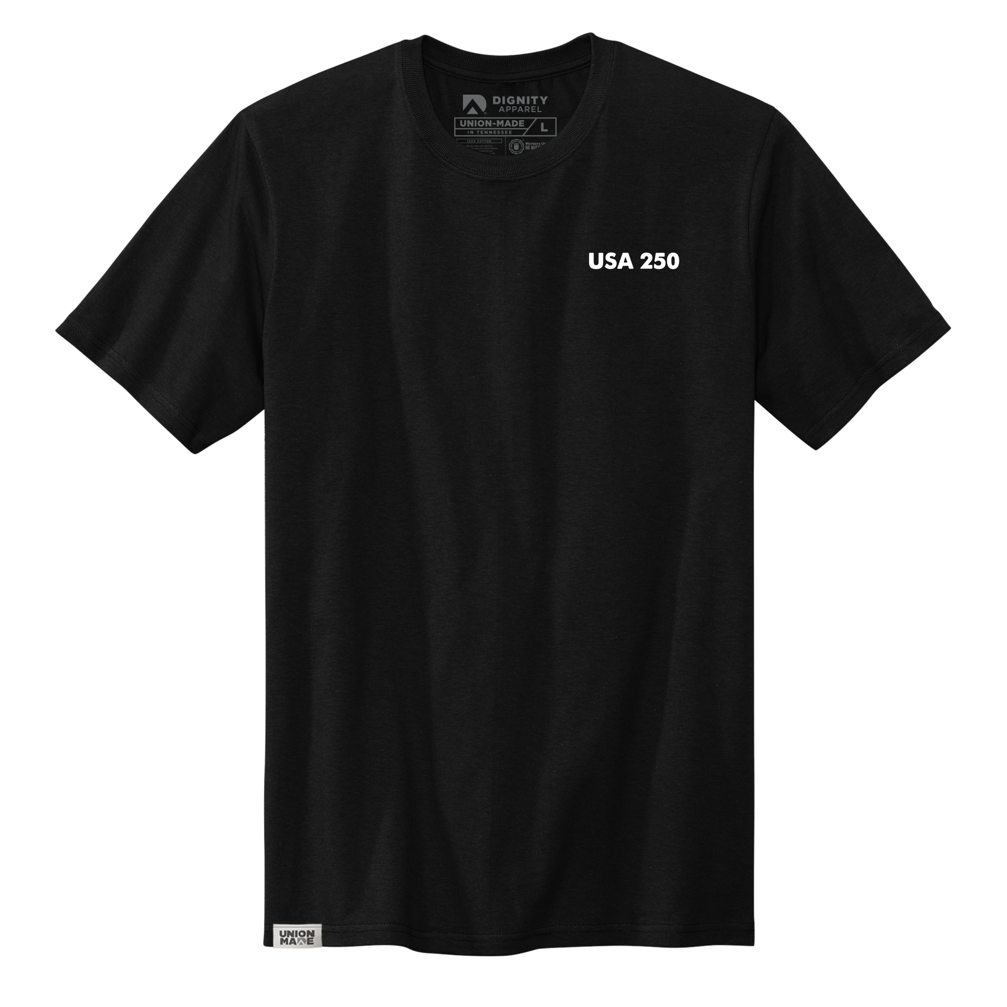 USA 250 Flag Hang Tee