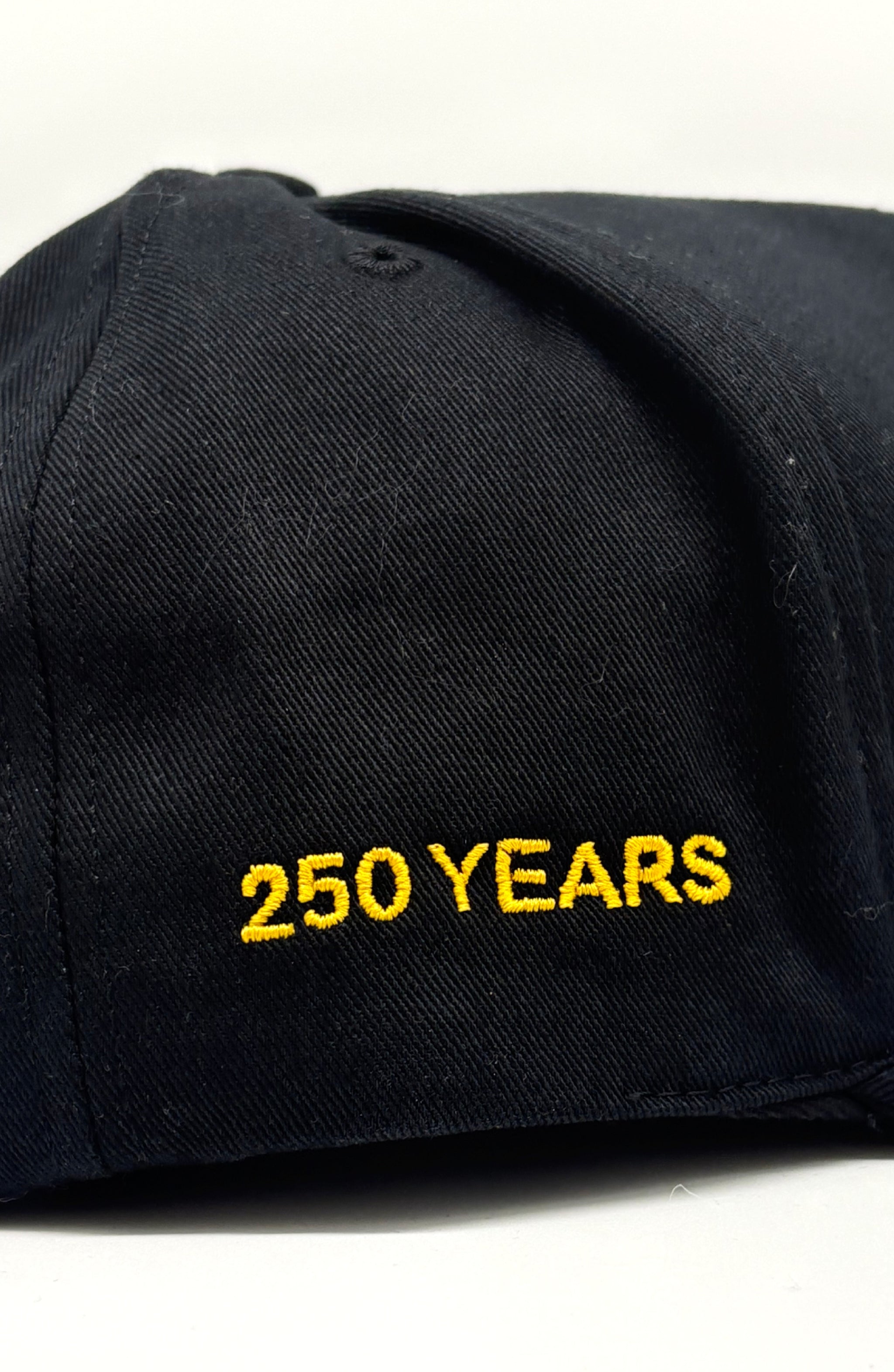 Army Logo 250th Anniversary Cap - Made in the USA